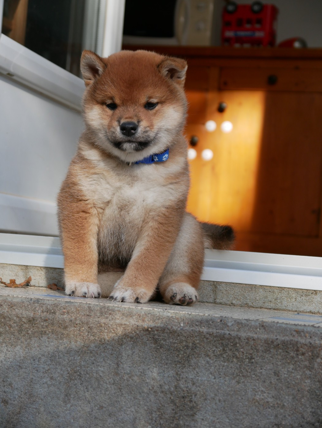 Atsu Des Landes D'Etten