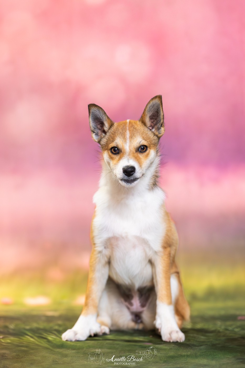 La relève en formation !